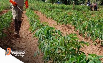 La agroecología y el reino del libre mercado   | Medio ambiente