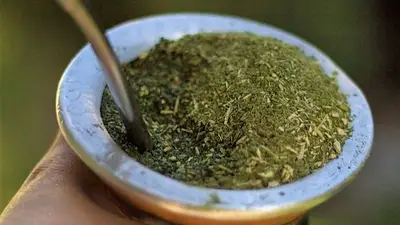 Mate Mate