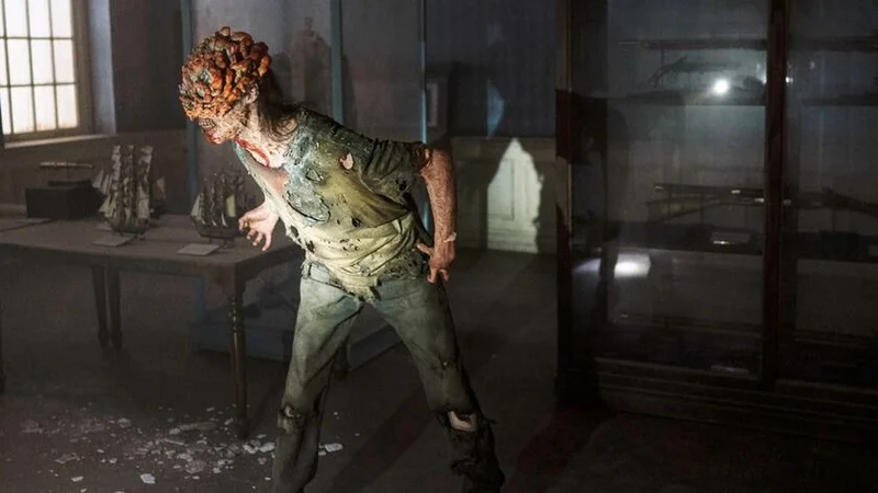 The Last of Us