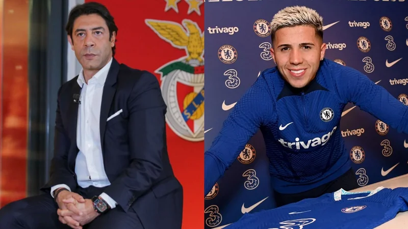 Enzo Fernández Rui Costa Benfica Chelsea