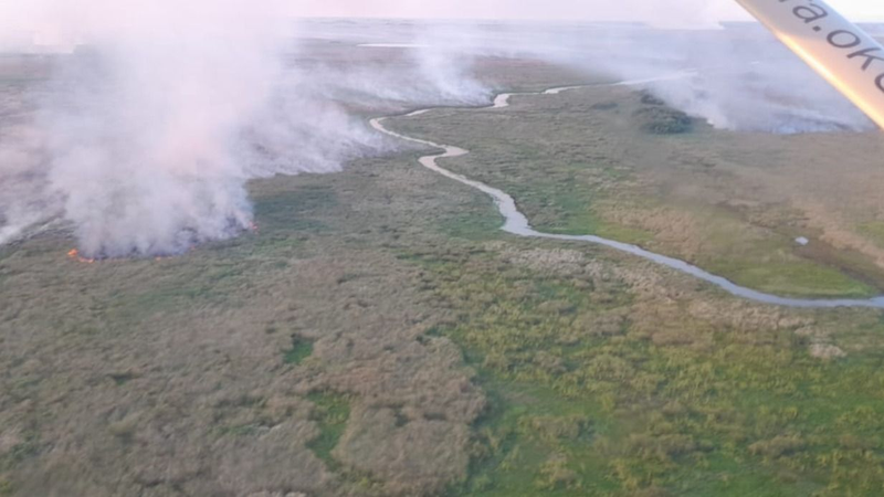 El Iberá bajo fuego: desde diciembre se quemaron 31 mil hectáreas