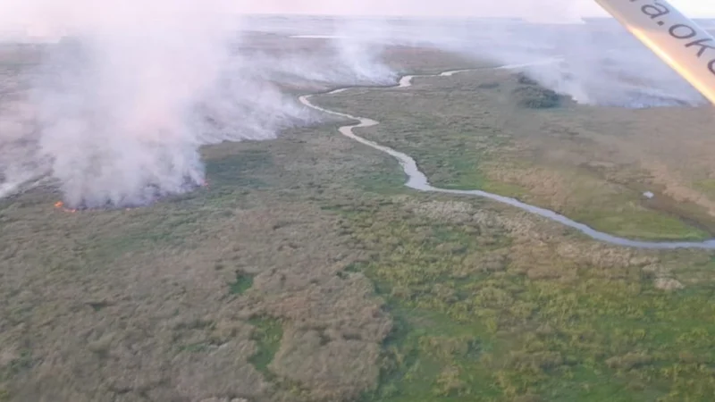 El Iberá bajo fuego: desde diciembre se quemaron 31 mil hectáreas
