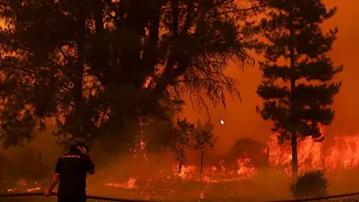 Chile: hay más de 300 focos activos y 21 escuelas afectadas Chile: hay más de 300 focos activos y 21 escuelas afectadas