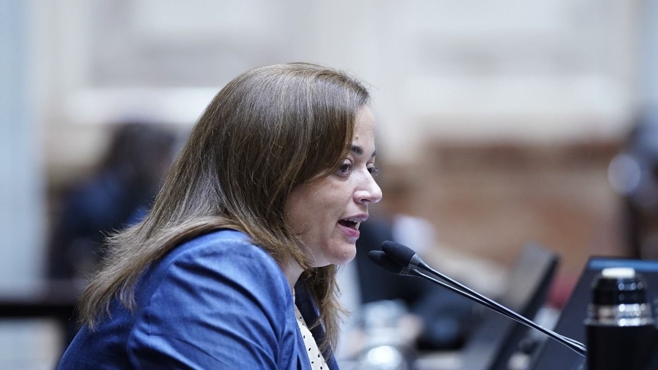 Cecilia Moreau de cara a las elecciones 2023: "Massa no se corta solo, viene construyendo con CFK"