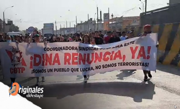 Perú: la Misión de Solidaridad argentina denunció violaciones a los DDHH | Perú