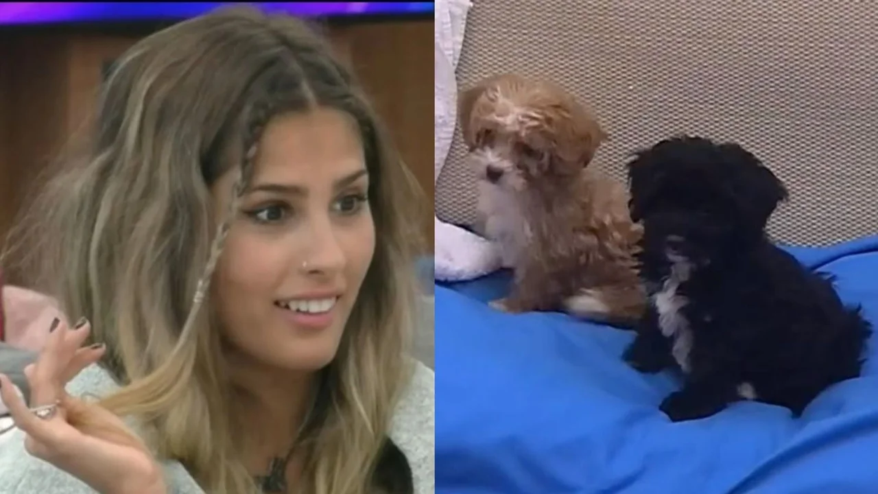 Julieta Poggio Gran Hermano