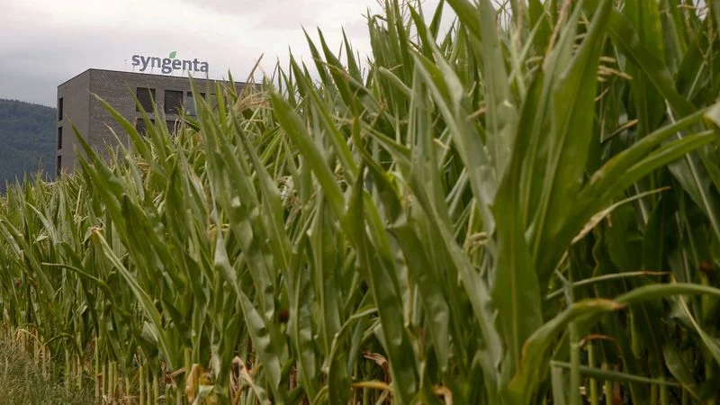 La Justicia investiga a Syngenta por presuntas maniobras de triangulación de importaciones