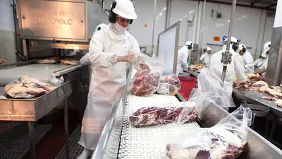 Las exportaciones de carne vacuna treparon 19,6% interanual en el primer bimestre Las exportaciones de carne vacuna treparon 19,6% interanual en el primer bimestre