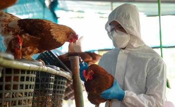 No terminó todo tras el COVID: la pandemia que se viene | Salud