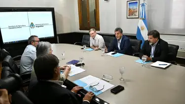 Gripe Aviar: Massa anunció medidas para productores que sufran pérdidas