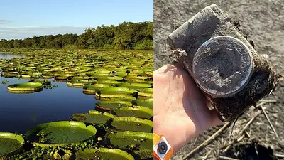 Corrientes: Halló una cámara que estuvo años bajo el agua y quedó impactada. Corrientes: Halló una cámara que estuvo años bajo el agua y quedó impactada.
