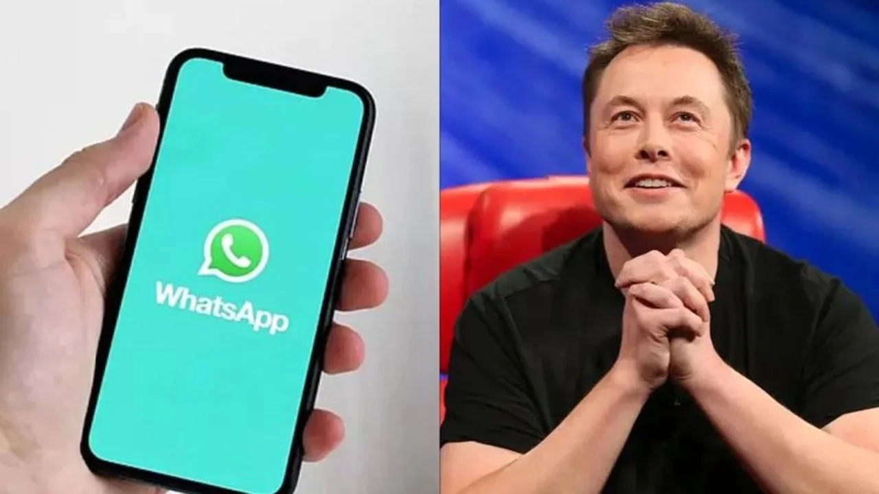 Elon Musk, WhatsApp