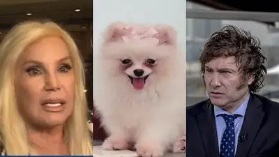 Susana Giménez. Javier Milei Susana Giménez. Javier Milei