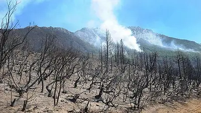 Crisis climática: un informe reveló detalles de la situación que atraviesa Argentina Crisis climática: un informe reveló detalles de la situación que atraviesa Argentina