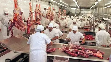 Por el atraso cambiario se disparó más de 4.000% la importación de carne vacuna desde Brasil