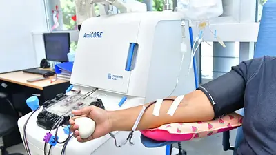Avanzan los tratamientos para combatir las oleadas de dengue: en qué consisten Avanzan los tratamientos para combatir las oleadas de dengue: en qué consisten