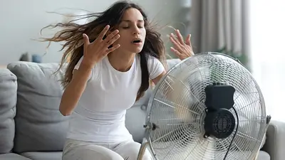 Ventilador, ruido Ventilador, ruido