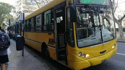 Colectivos Colectivos