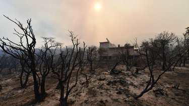 Cuál es la situación del incendio en Los Alerces