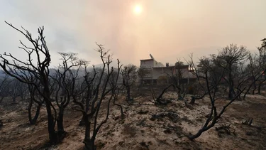 Cuál es la situación del incendio en Los Alerces