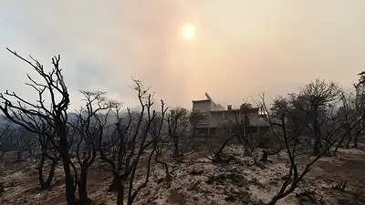 Cuál es la situación del incendio en Los Alerces: avanza el fuego y hay evacuados Cuál es la situación del incendio en Los Alerces: avanza el fuego y hay evacuados