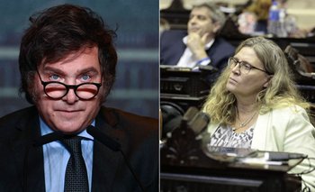 Diputada contra Milei: "No podemos darle facultades al que dijo que nos va a fundir" | Ley ómnibus