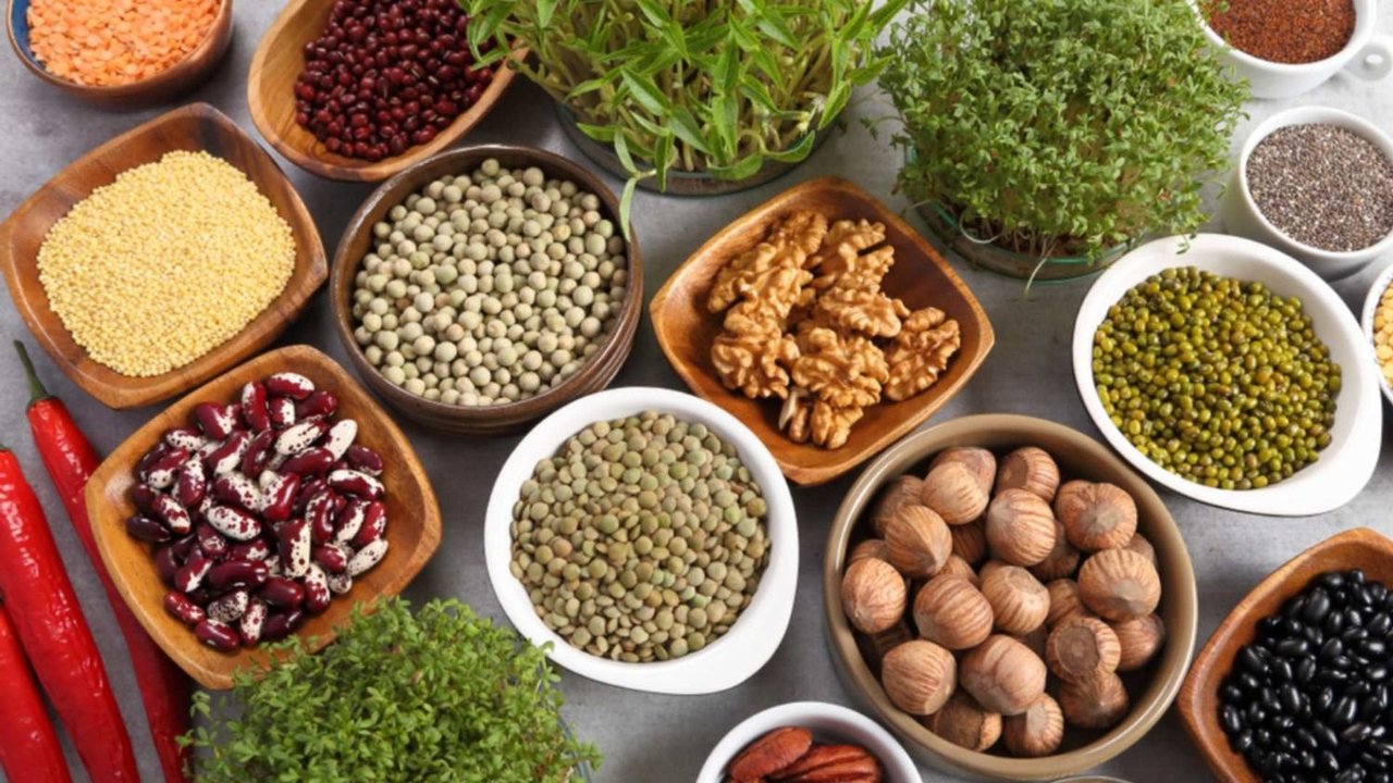Proteínas vegetales