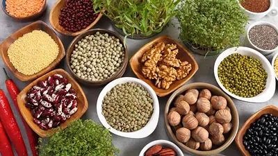 Proteínas vegetales Proteínas vegetales
