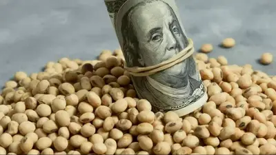 Nació un nuevo dólar: a cuánto cotizó Nació un nuevo dólar: a cuánto cotizó