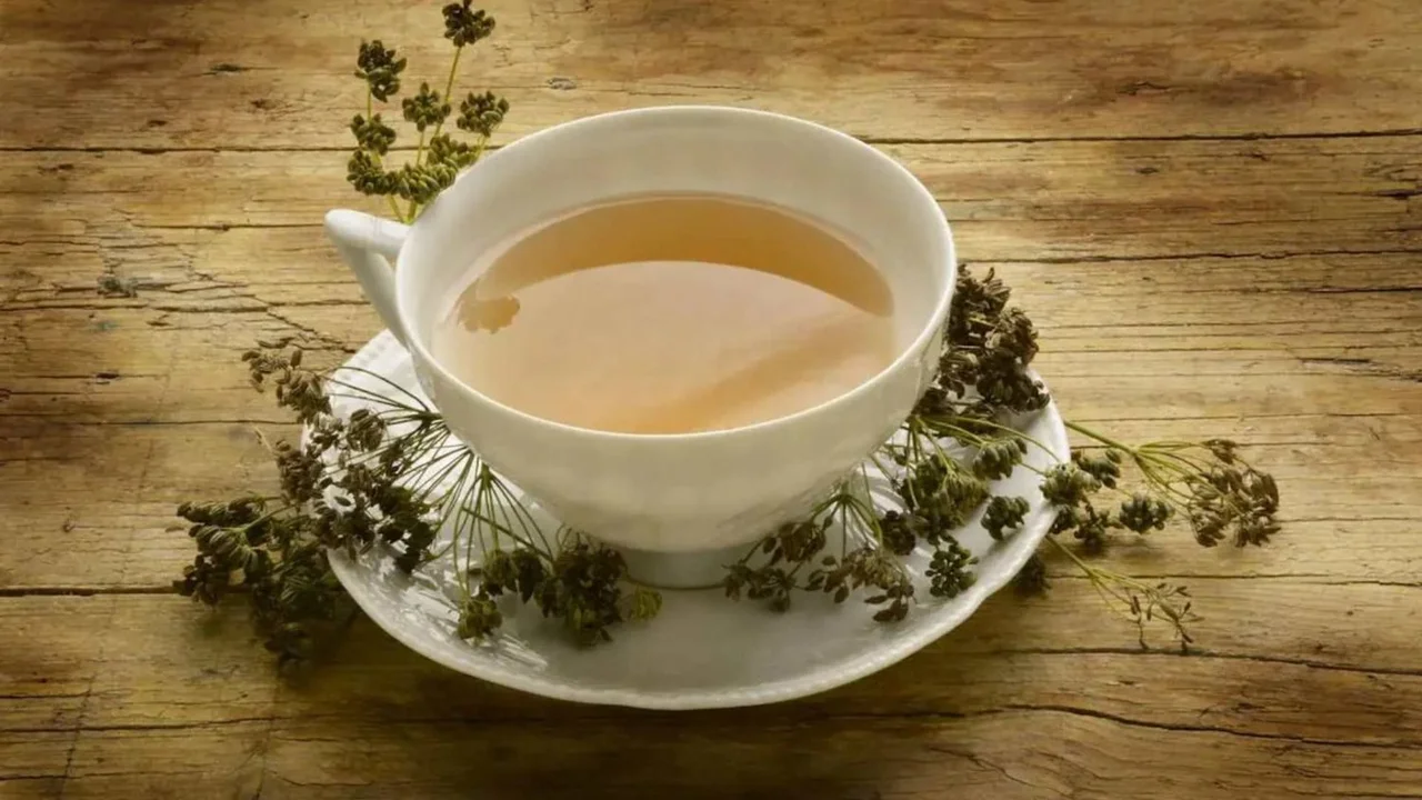 Infusión de lavanda