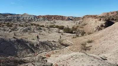 Impactante: cómo es el descubrimiento del CONICET que podría cambiar la historia de la evolución Impactante: cómo es el descubrimiento del CONICET que podría cambiar la historia de la evolución