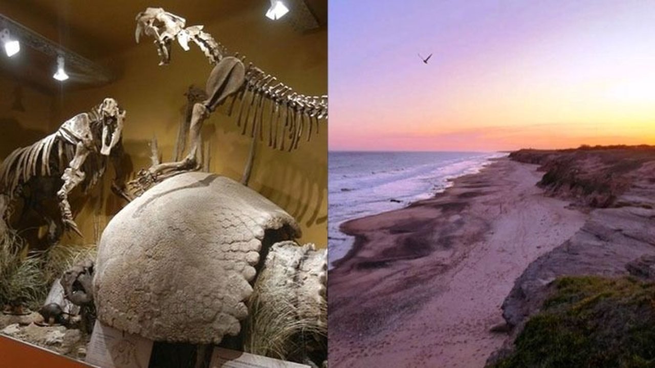 Playa de Miramar para encontrar restos fósiles de dinosaurios