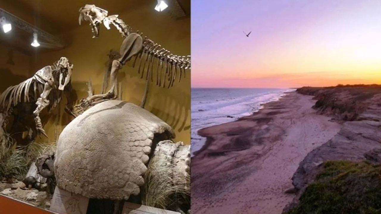 Playa de Miramar para encontrar restos fósiles de dinosaurios