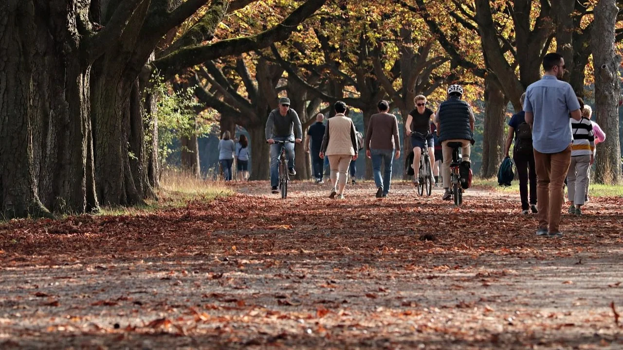 Cuándo empieza el otoño 2024