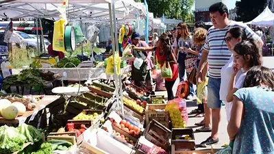 Soberanía Alimentaria: Formosa garantiza el derecho a la alimentación e incorpora novedosos productos a precios económicos Soberanía Alimentaria: Formosa garantiza el derecho a la alimentación e incorpora novedosos productos a precios económicos