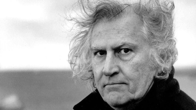 Fotografía del cineasta y político Fernando Pino Solanas 