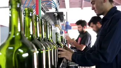 Los mejores vinos: la empresa estatal ganadora de distintas medallas nacionales Los mejores vinos: la empresa estatal ganadora de distintas medallas nacionales