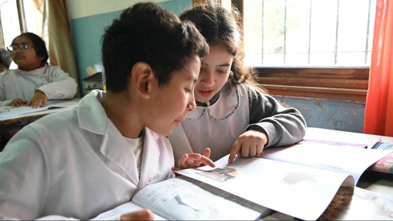 Ayuda escolar