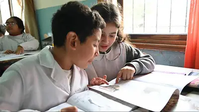 Ayuda escolar Ayuda escolar