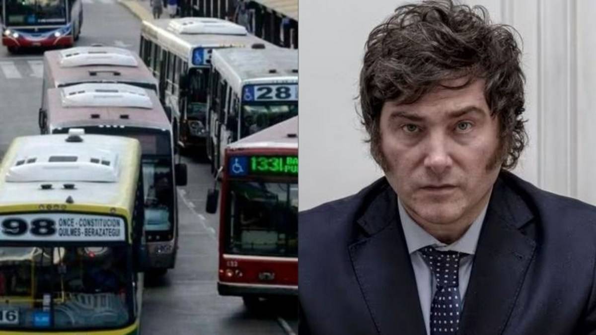 Milei congeló la Tarifa Social de la SUBE y recortó el beneficio para millones de usuarios