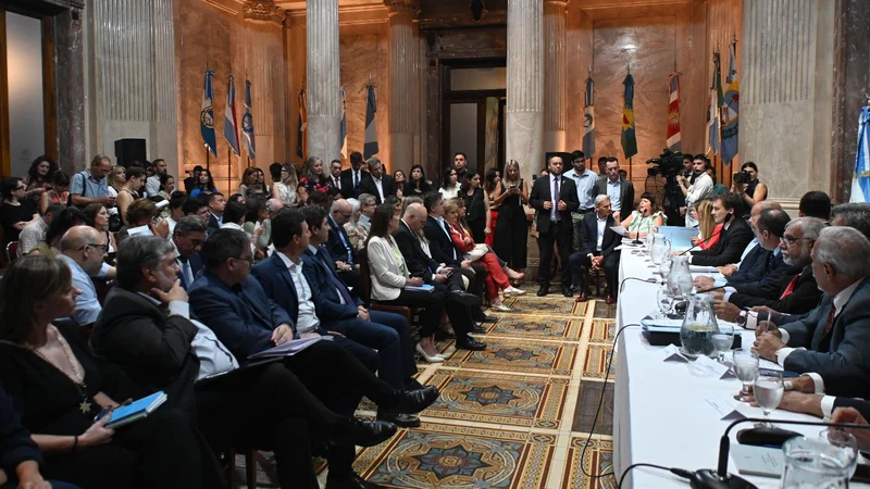 Se conformó la Bicameral para tratar el DNU con un libertario de presidente