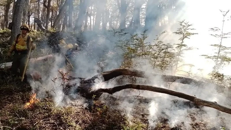 Logran extinguir los tres focos de incendio registrados en el Parque Nacional Lanín