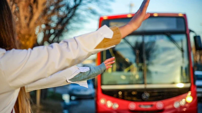 colectivos, colectiveros, parada de colectivo, transporte público