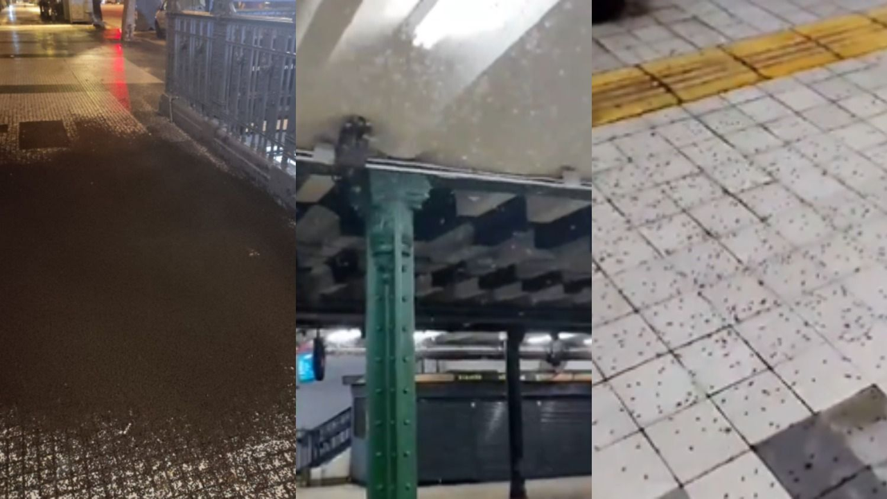 Invasión de insectos en el Subte A.