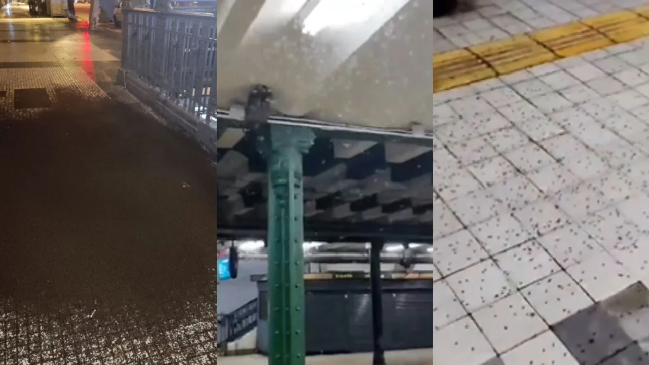 Invasión de insectos en el Subte A.