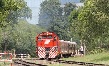 Una línea de tren redujo su frecuencia: los nuevos horarios | Transporte público