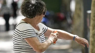 Dengue: advierten cómo evitar la suba de casos
