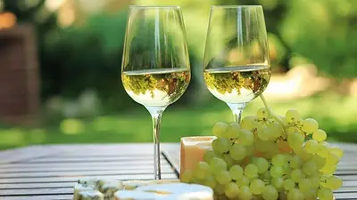 Cata San Juan 2024: conocé el vino riojano que se coronó como uno de los más prestigiosos del país Cata San Juan 2024: conocé el vino riojano que se coronó como uno de los más prestigiosos del país