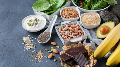 Alimentos Alimentos