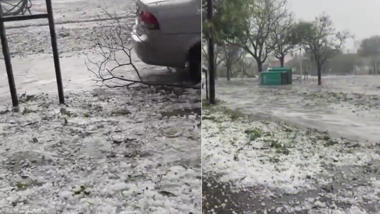 Cómo fue la caída de granizo en Bahía Blanca y qué daños se registraron en la ciudad. Videos de la caída de granizo en Bahía Blanca de este domingo. 